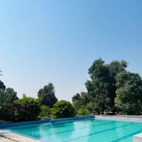 استخر|اجارهٔ کوتاه‌مدت ویلا و باغ|میناب, |دیوار