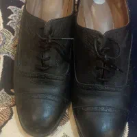 کفش زنونه|کیف، کفش، کمربند|تهران, فرمانیه|دیوار