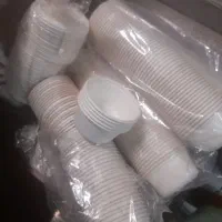 ظروف یکبار مصرف گیاهی دو پرسی و خورشتی