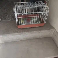 قفس پرنده