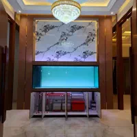 خدمات اکواریوم|ماهی|تهران, جردن|دیوار