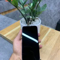 iPhone 13 Pro Max|موبایل|کرج, اتحاد|دیوار