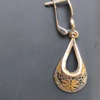 لنگ گوشواره گمشده