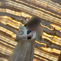 لباس مجلسی عروسکی نباتی