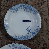 سرویس ارکوپال فرانسه و آبمیوه گیری ۴ کاره نیولند