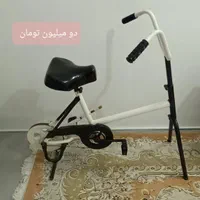 دوچرخه ثابت