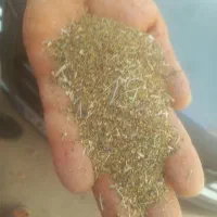 بذر شبدر ۴چنه ضمانتی