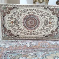 ۲ جفت پشتی