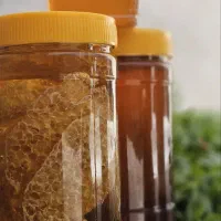 عسل کوهی با ساکاراز زیر( 3درصد)