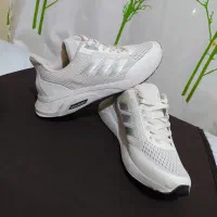 کفش اسپرت|کیف، کفش، کمربند|گنبد کاووس, |دیوار