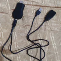 دانگل تصویر در تصویر