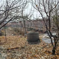 فروش-باغ-میوه