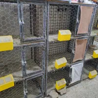 3عدد قفس 3 طبقه جداگانه