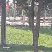 زمین کشاورزی