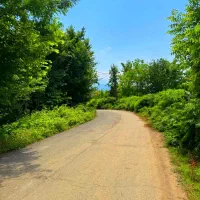 ۲۹۵ متر خانه محوطه جنگلی روستایی بنای سنتی|فروش خانه و ویلا|فومن, |دیوار