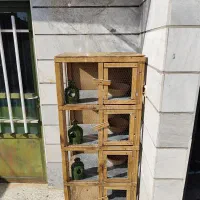 جفت کنی کفتر|لوازم جانبی حیوانات|اسلام‌شهر, مظفریه|دیوار