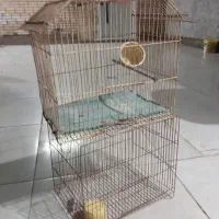 دو تا قفس تمیز