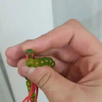 تسبیح صندلوص ۱۰۱|کلکسیون اشیاء عتیقه|نهاوند, |دیوار