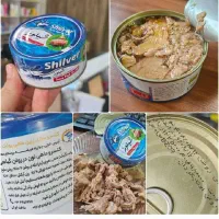 تن ماهی شیلور