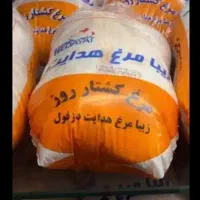 نیروی ماهر قطعه بندی مرغ و انبار دار