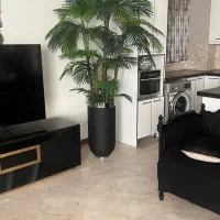 فروش درختچه