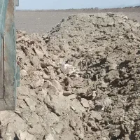 فروش کود مرغی سالنی و قفسی تضمینی