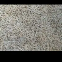 جو روسی یا خارجی