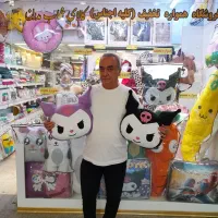 عروسک بغلی بالش فانتزی و عروسکی بزرگ کوچک وبزرگ