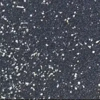 بذر تره ملایر (سورت شده)