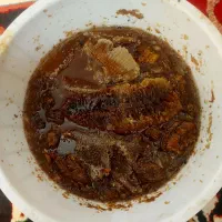 عسل طبیعی اصل کوه شوروم منطقه ذیلایی شوروم