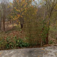 ۱۰۰۰ متر باغ روستای ساغران اولیا آبگرم