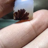 سنگ شجر|جواهرات|قم, نیروگاه|دیوار