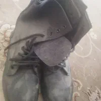 پوتین نونو40