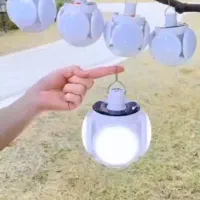 لامپ پنج پر|ریسه و چراغ تزئینی|یزد, |دیوار