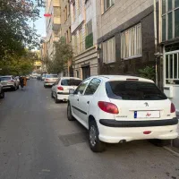 206تیپ ۲ مدل ۱۳۹۶بیرنگ استثنایی