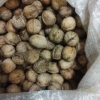 گردو پوست کاغذی وشیره انگور