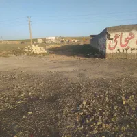 زمین-کشاورزی-بهر-جاده