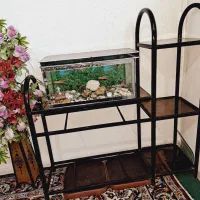 میز تلویزیون فرفوروژه