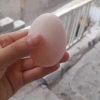 به دلیل زیاد بودن