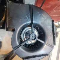 حلزون پلیمیری BLDC