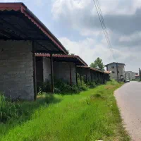 مغازه شمال استان گیلان|فروش مغازه و غرفه|کیاشهر, |دیوار