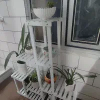 استند وگل وگلدان|گل و گیاه طبیعی|سرپل ذهاب, |دیوار