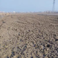 زمین-باسندباغی-هزارمتری-دارای-ترانس-مشترک-برق