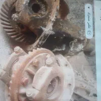 فروش دوعددکله گاوی پیکان