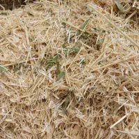 کاه گندم|خدمات باغبانی و درختکاری|کلات (ایلام), |دیوار