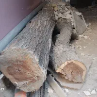 تنه‌ی درخت مناسب معرق و خراطی