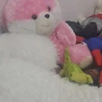 خرگوش صورتی