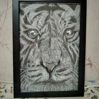 سفارش نقاشی طراحی چهره|تابلو، نقاشی، عکس|مشکین‌دشت, |دیوار