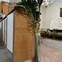 گل بامبو با گلدان