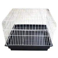 فروشگاه لوازم جانبی پرندگان|لوازم جانبی حیوانات|بیرجند, |دیوار